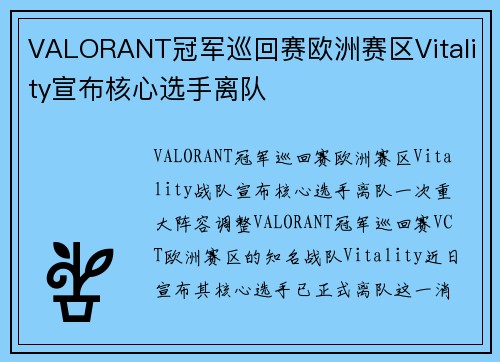 VALORANT冠军巡回赛欧洲赛区Vitality宣布核心选手离队