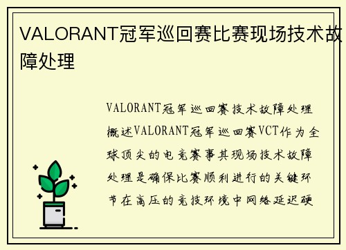 VALORANT冠军巡回赛比赛现场技术故障处理